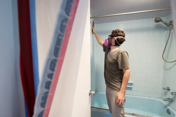 Best HVAC Mold Inspection and Cleaning  in West Wareham, MA