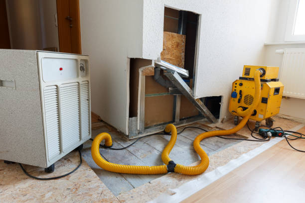  West Wareham, MA Mold Removal Pros