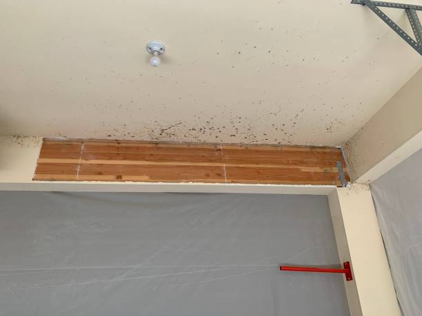 Best Mold Remediation for Healthcare Facilities  in West Wareham, MA