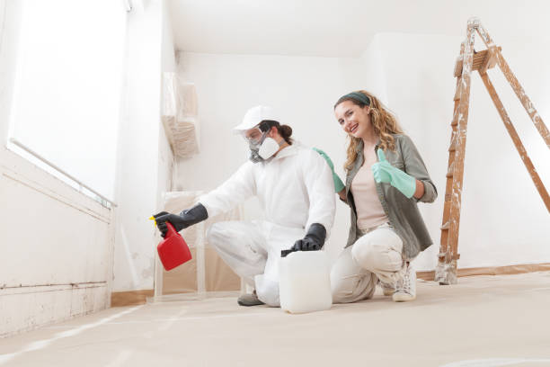 Best Airborne Mold Testing  in West Wareham, MA