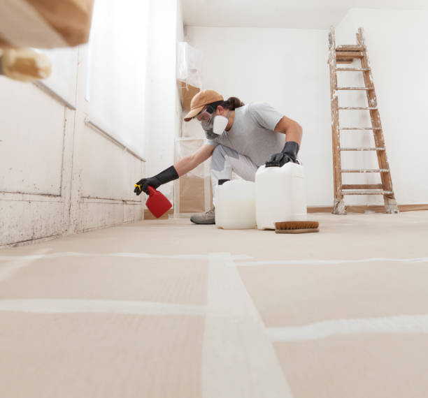 Forensic Mold Investigation in West Wareham, MA